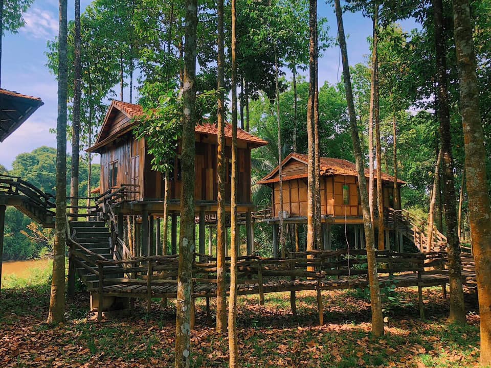 green bamboo lodge 2