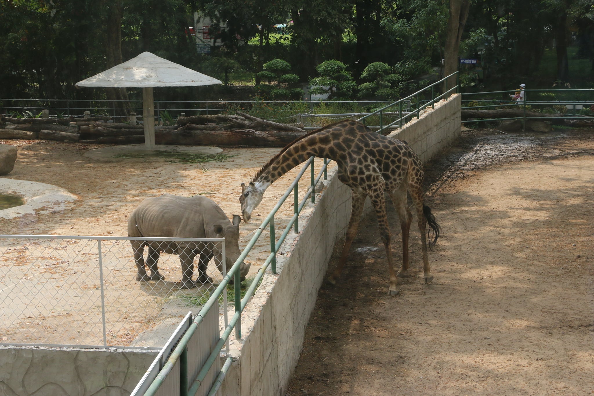 Ảnh: Thảo Cầm Viên - Sài gòn Zoo & Botanical Gardens